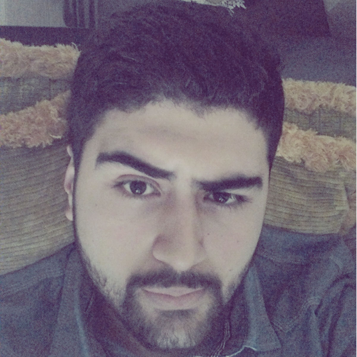 User Profile
